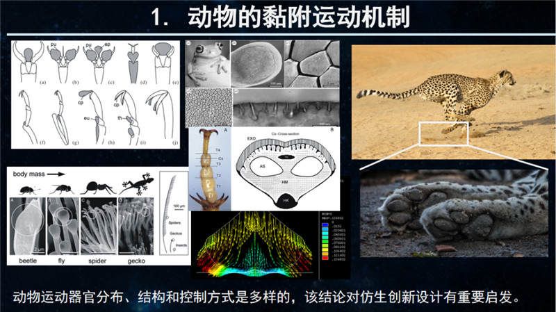 图片 2.png