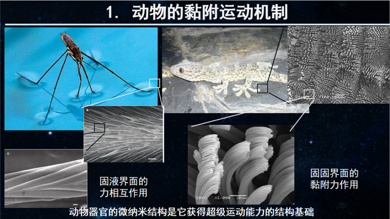 图片 3.png