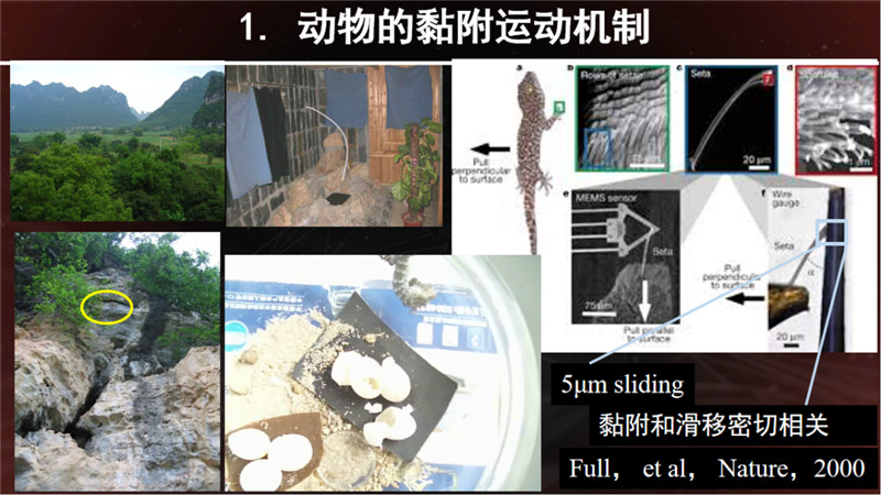 图片 4.png