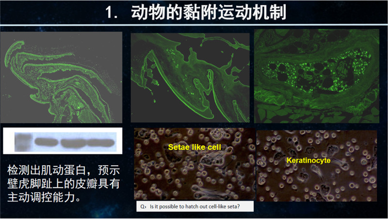 图片 5.png
