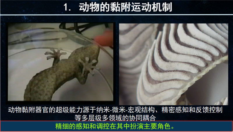 图片 6.png