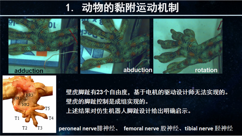 图片 7.png