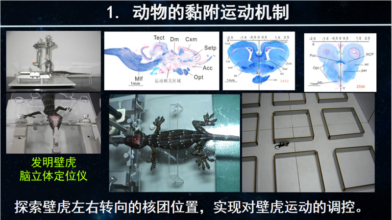 图片 8.png