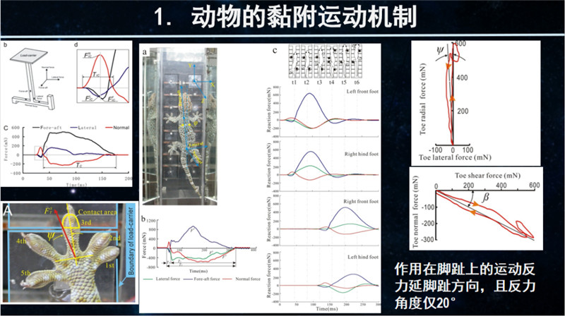 图片 10.png