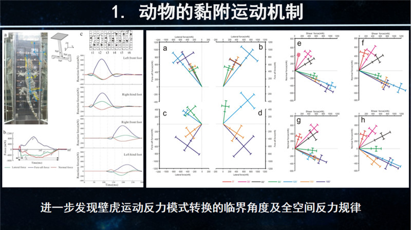 图片 12.png