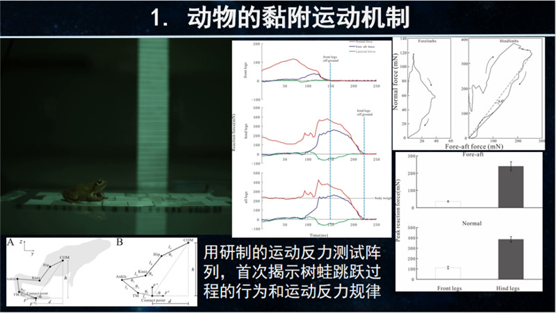 图片 13.png