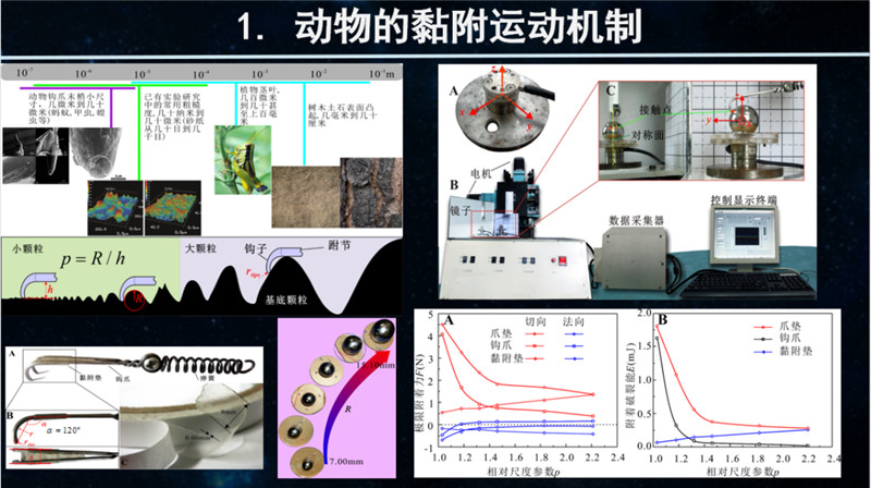 图片 14.png