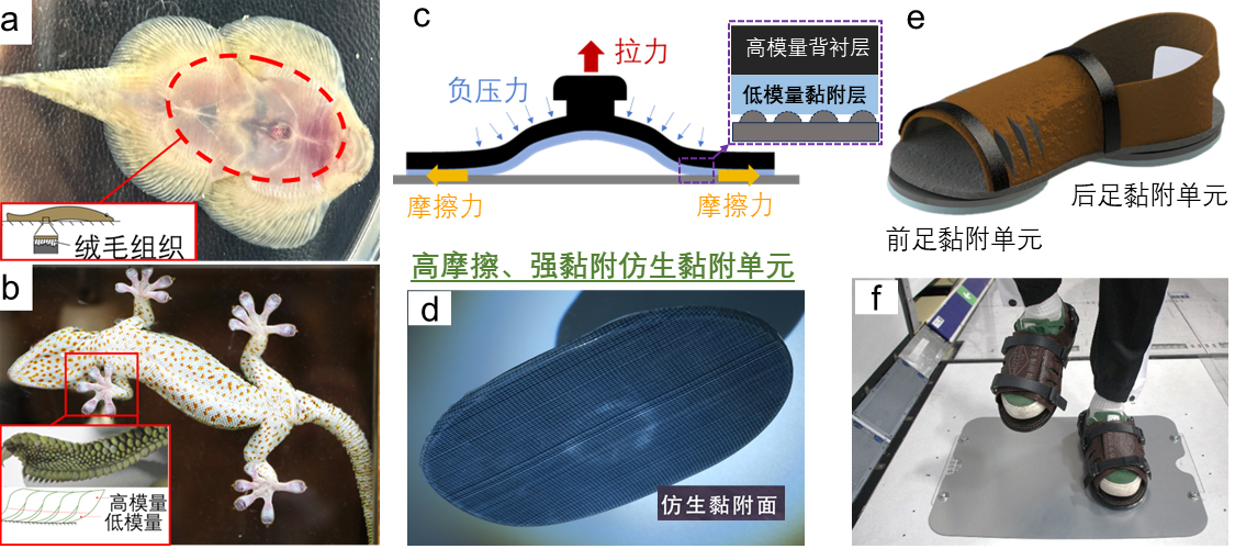 图片 2.png